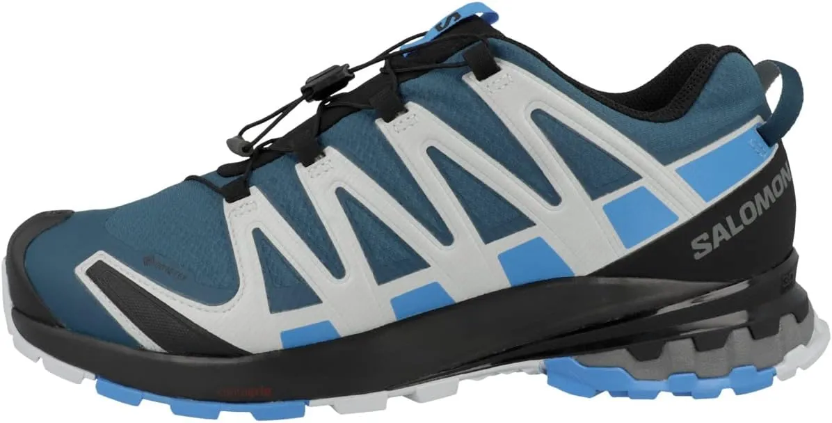 SALOMON Men's XA PRO 3D v8 Gore-TEX Trail Running Shoes